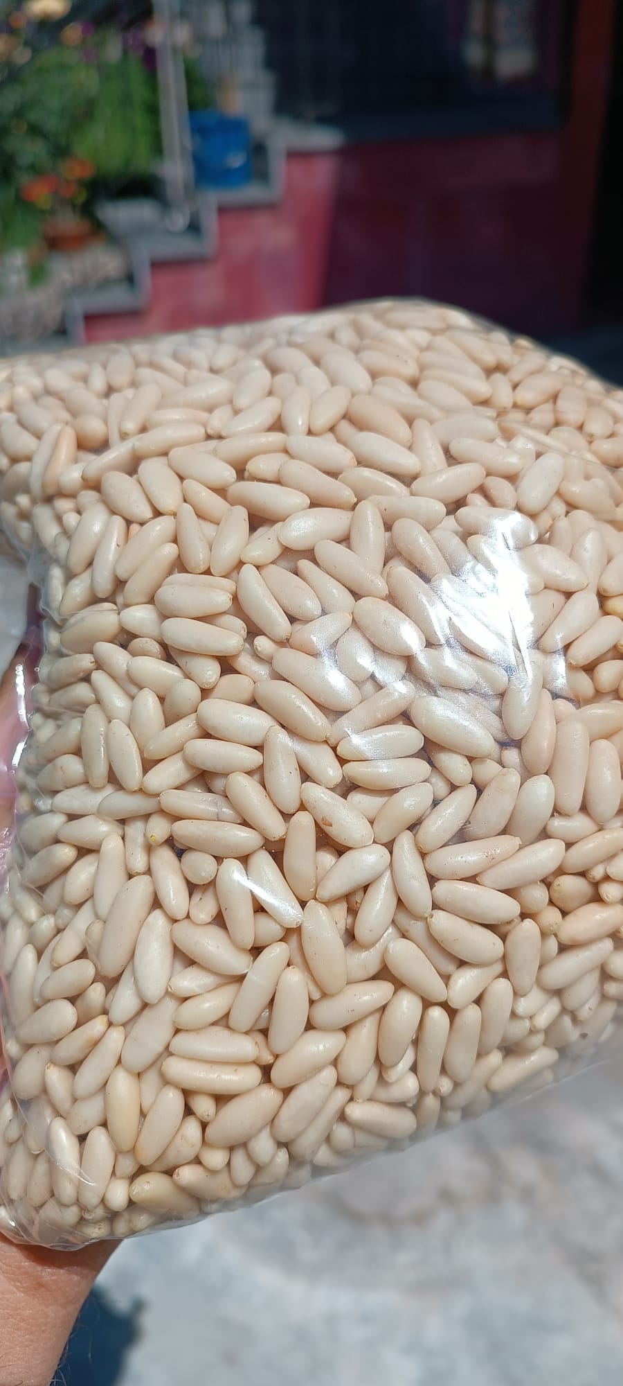 Pineo Çam Fıstığı 1 Kg