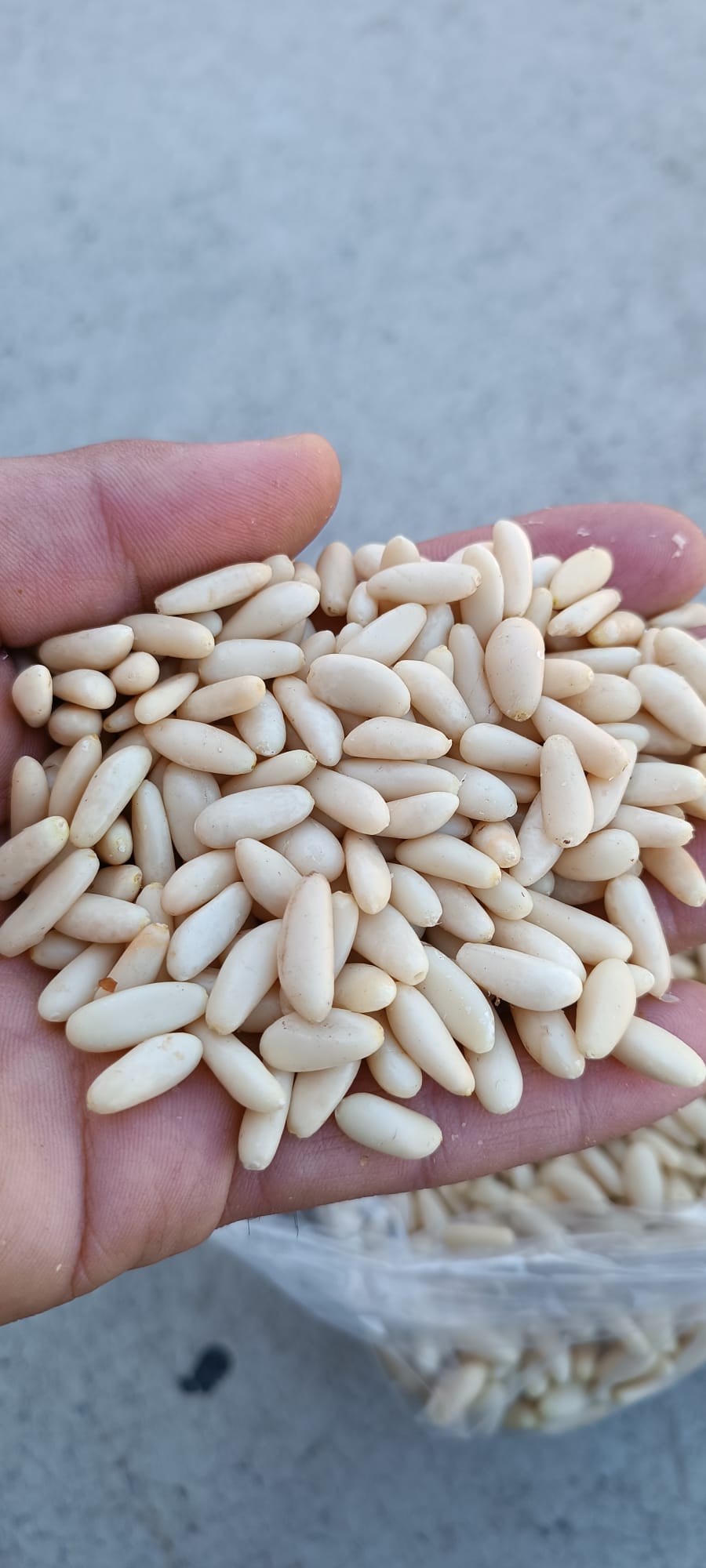 Pineo Çam Fıstığı 1 Kg