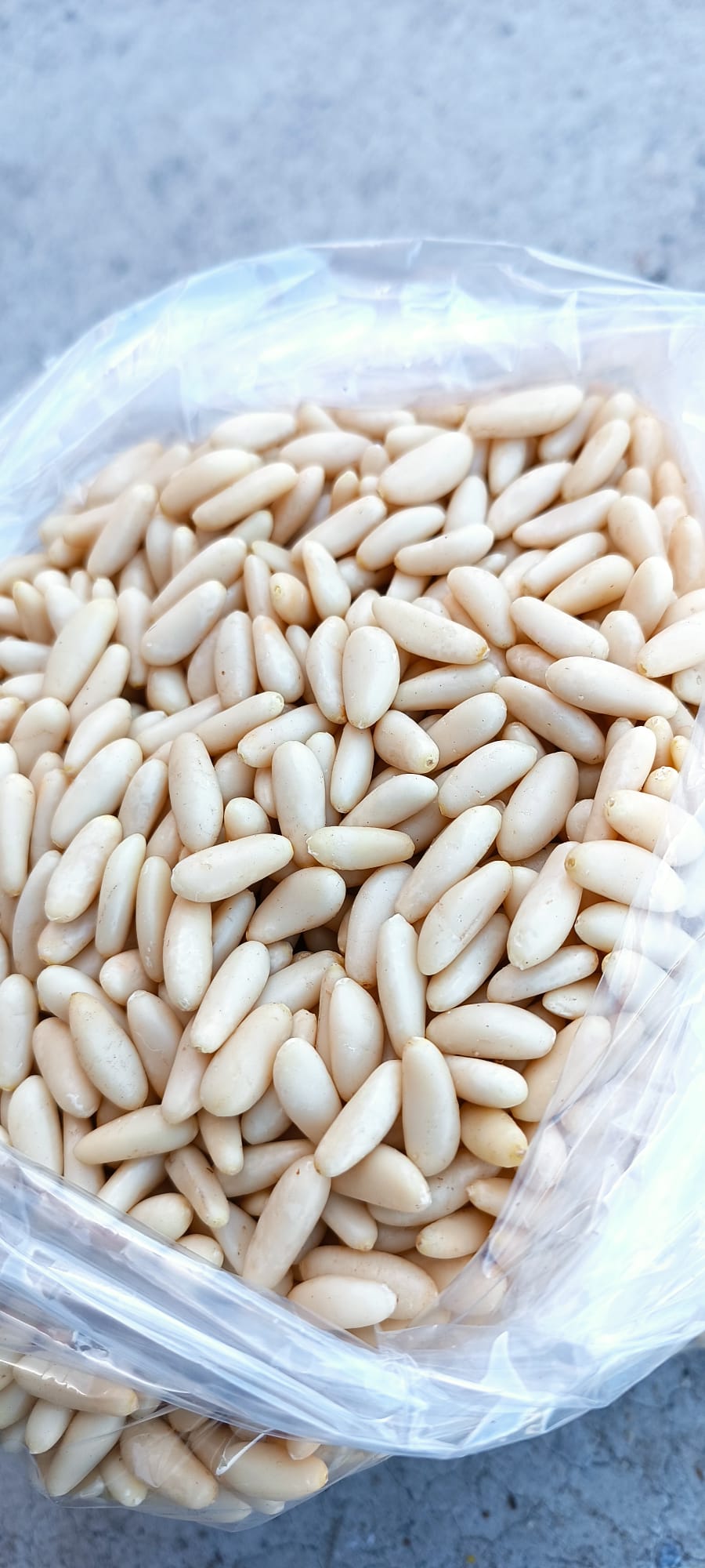 Pineo Çam Fıstığı 1 Kg