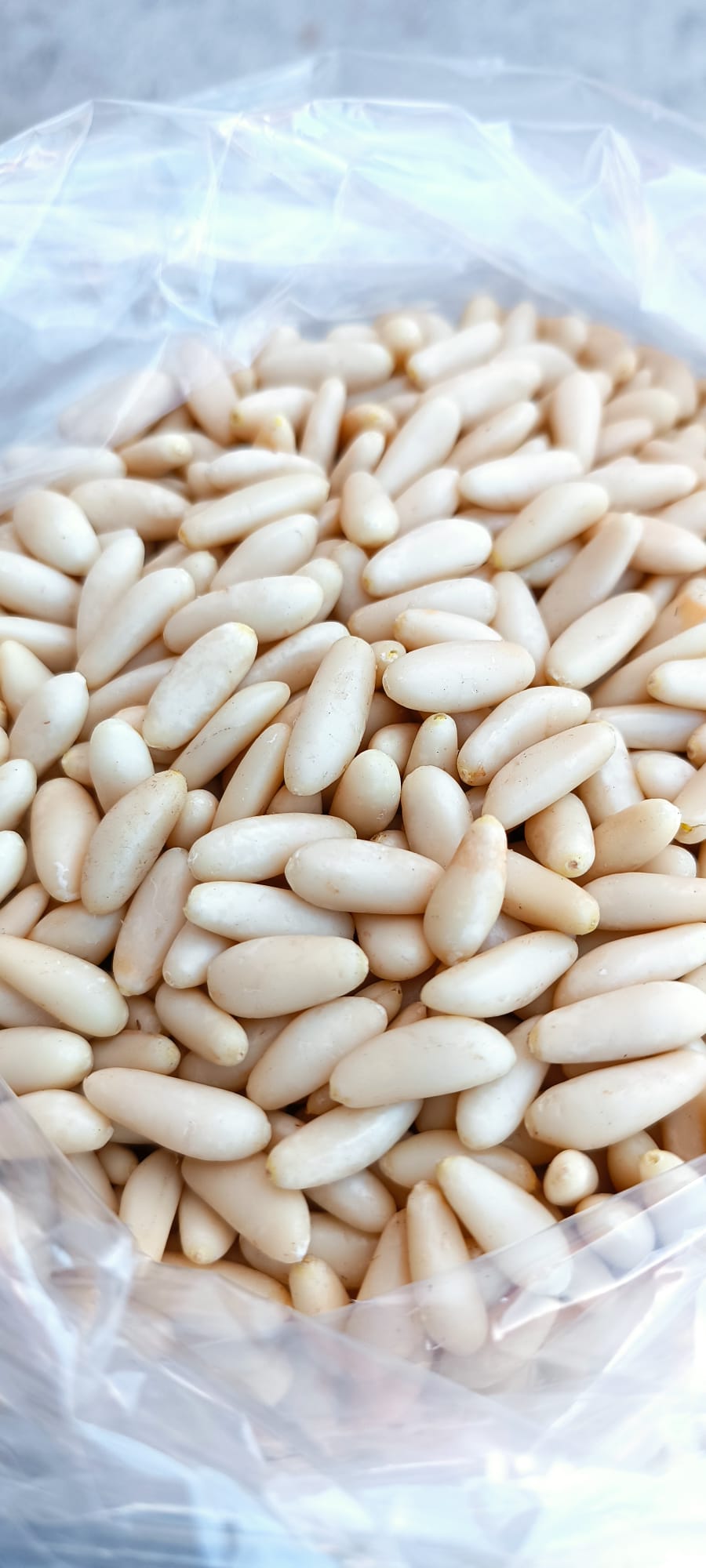 Pineo Çam Fıstığı 1 Kg